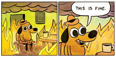 “this is fine” meme